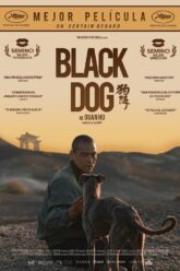 Black Dog
