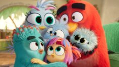 Angry Birds 3: La película fondo